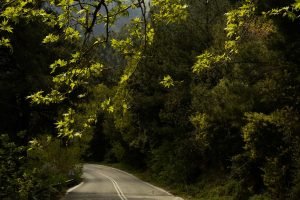 Road to Potamia
